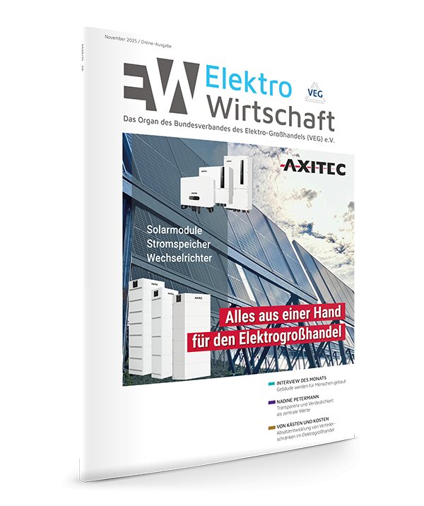 ElektroWirtschaft – 11/2025