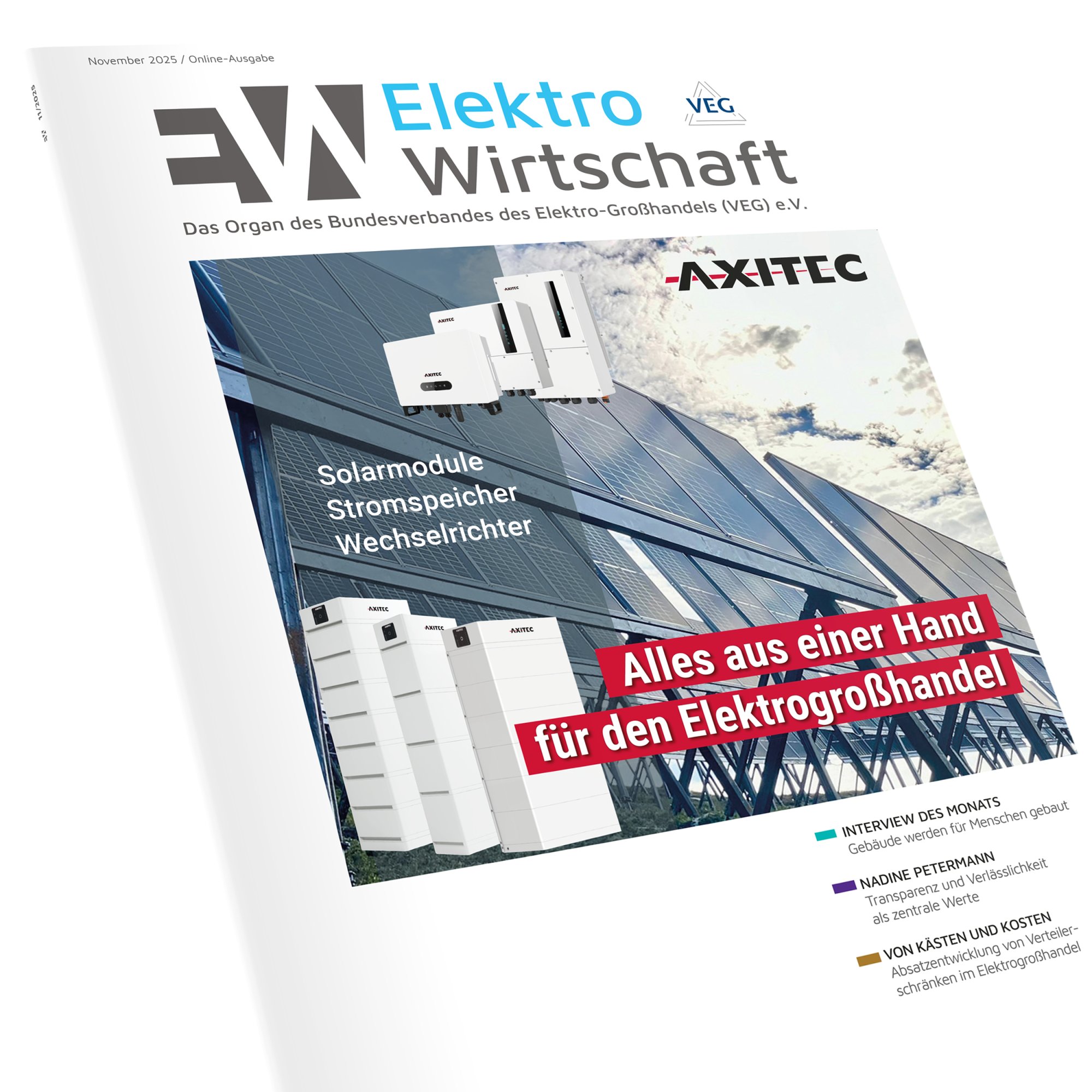 ElektroWirtschaft – 11/2025