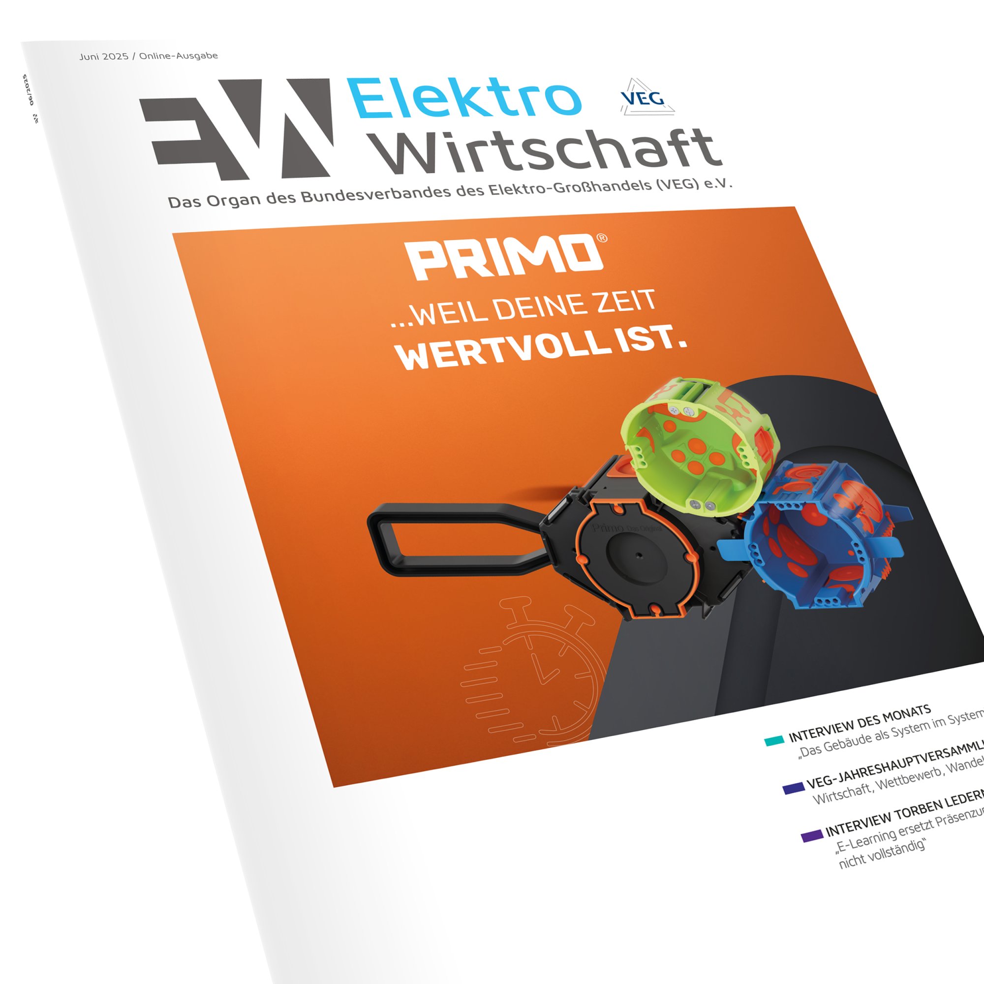 ElektroWirtschaft – 06/2025